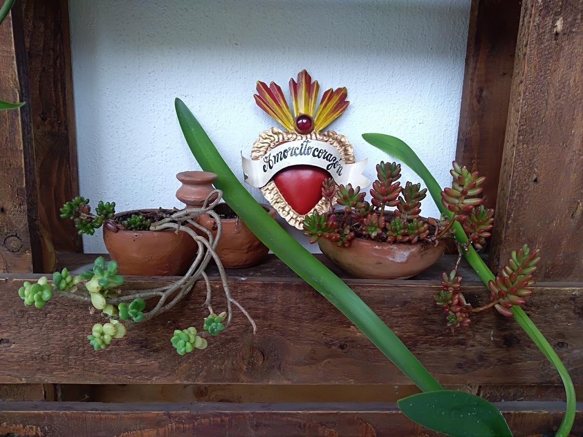 Posada Santa Hotel San Cristóbal de Las Casas Kültér fotó